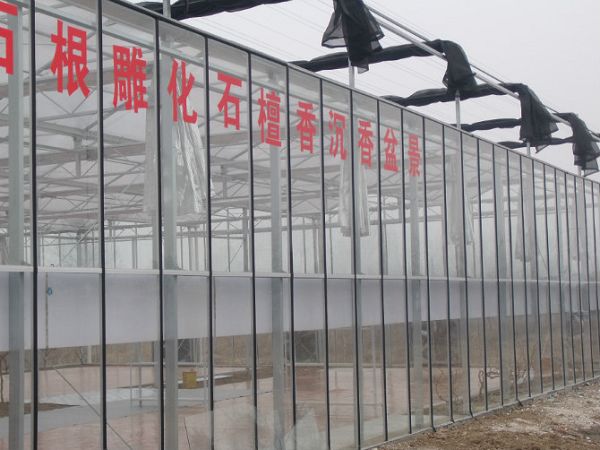 揚州盆景養殖溫室大棚工程 PC陽光板